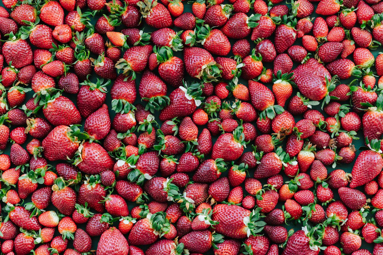 Food — photograph 1