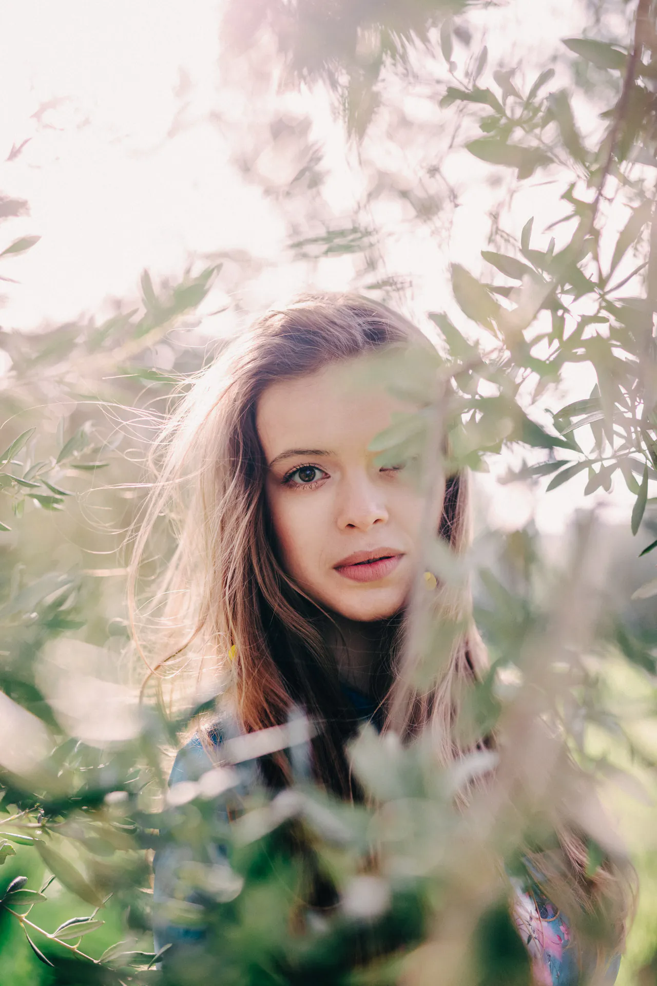 Anastasiya in the Olive Grove — photograph 12