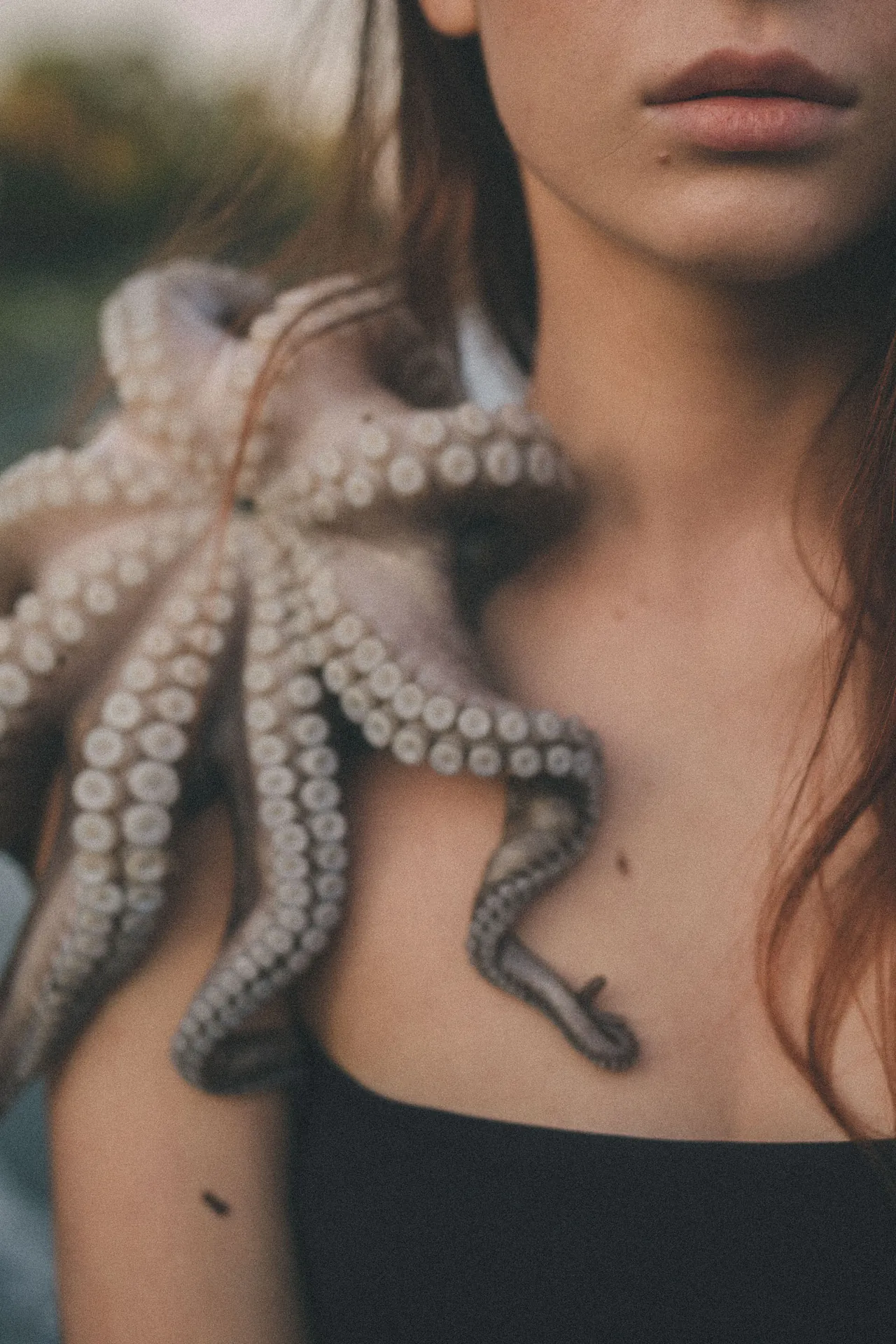 OctoLera — photograph 2