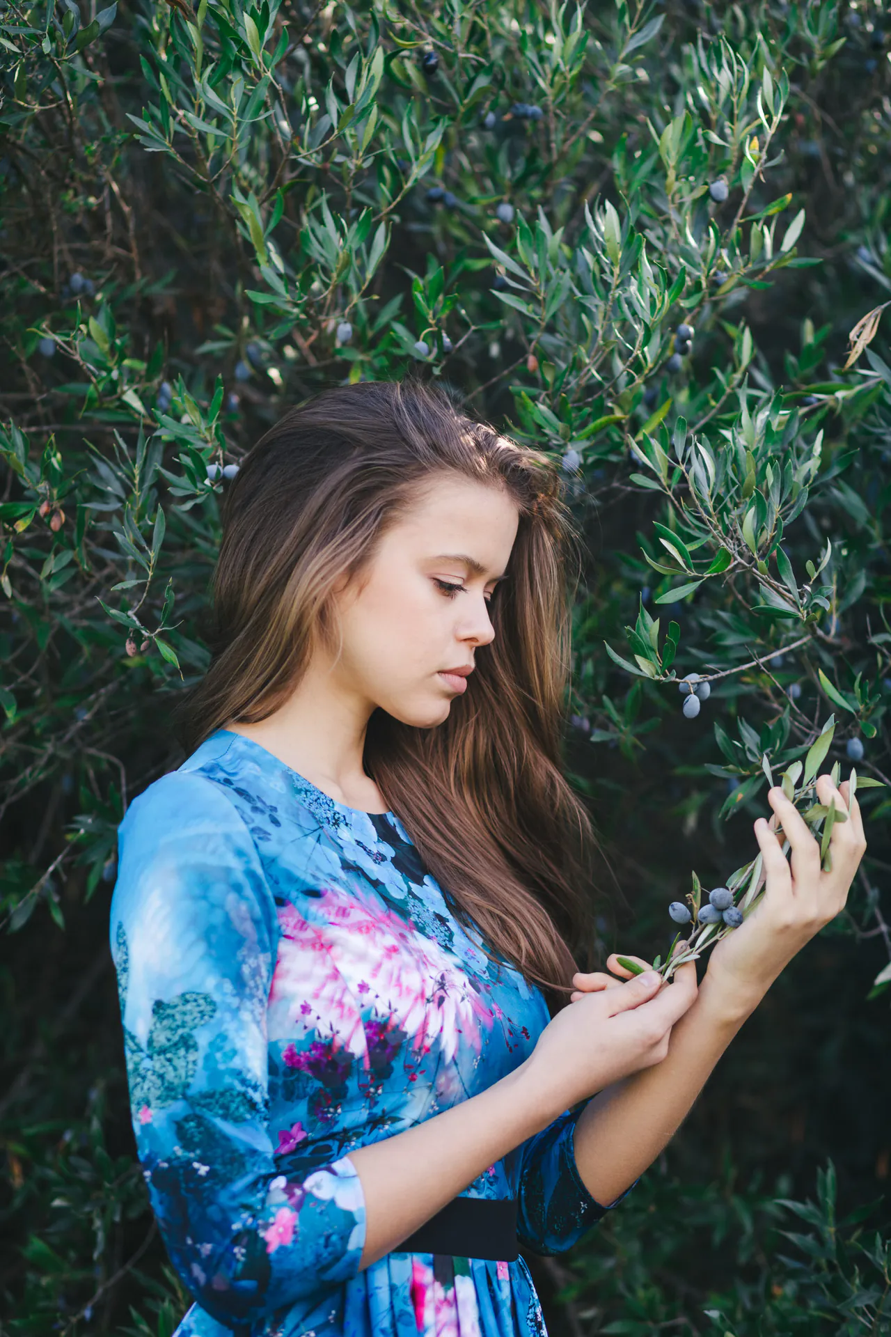 Anastasiya in the Olive Grove — photograph 6