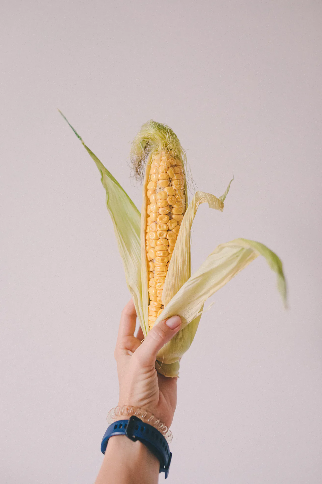 Food — photograph 8